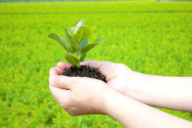 希望イメージ画像