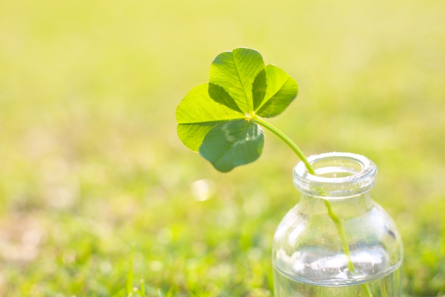 希望イメージ画像